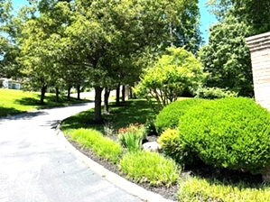 Knoxville Condo For Sale