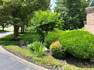 Condo For Sale in West Knoxville
